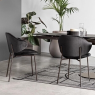  Holly.  - Calligaris, .      .      