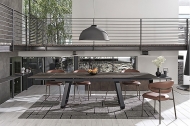  Oleandro.  - Calligaris, .          .  