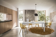  Roche.  - Calligaris, .   .       , 