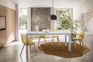  Saint Tropez.  - Calligaris, .      .   