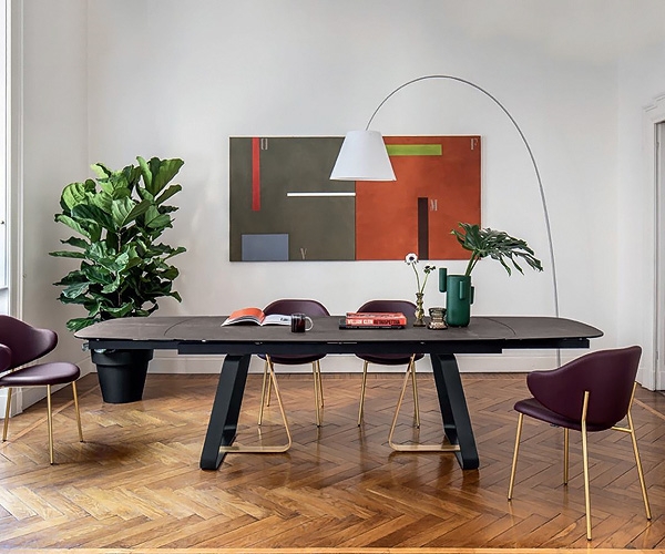  Sunshine, Calligaris.     -    .
