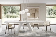  Zen.  - Calligaris, .    .       