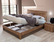    ,  Storm.  Camelgroup, .       -  , 