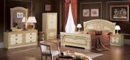 Aida.  Camelgroup, .    .       