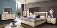    ,  Ambra.  Camelgroup, .       -  , 