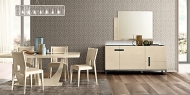  Ambra.  Camelgroup, .    .       , 