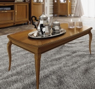    ,  Fantasia.  Camelgroup, .      - 