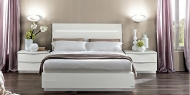  Onda.  Camelgroup, .    .   , , 