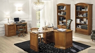  Siena.  Camelgroup, .     -  , , , ,