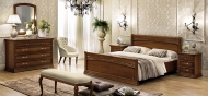  Torriani.  Camelgroup, .   .       - 