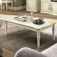  Torroani.  Camelgroup, .      -  , , , 
