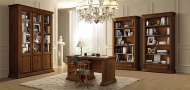  Treviso.  Camelgroup, .     - , , , .