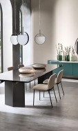  Oasi.  Cantori, .    .      -  