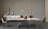  Premier.  Cattelan, .     -     .  