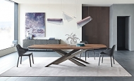  Kimi.  Cattelan, .    .   ,   