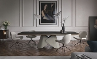  Scott.  Cattelan, .          .   