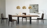  Agatha Flex.  Cattelan, .     ,    .  