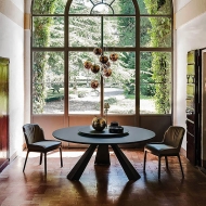  Apollo.  Cattelan, .         .  