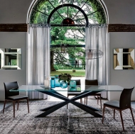  Arcadia.  Cattelan, .         .  