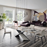  Arcadia.  Cattelan, .         .  
