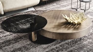  Arena.  Cattelan, .      .    - 