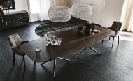  Atlantis.  Cattelan, .        ,   
