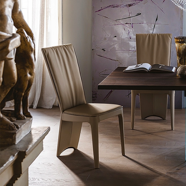 Aurelia, Cattelan. ,            .