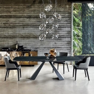  Cloud.  Cattelan, .    .     - , 