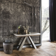  Convivium.  Cattelan, .     .    - 