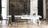  Convivium.  Cattelan, .     .    - 
