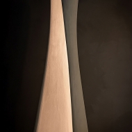  Diploma.  Cattelan, .     LED   .   