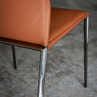  Eva.  Cattelan, .     ,   ,   .  