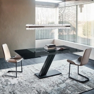  Flamingo.  Cattelan, .    .      - 