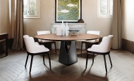  Giano.  Cattelan, .    .      - 