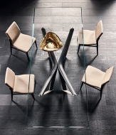  Ginevra.  Cattelan, .          .  