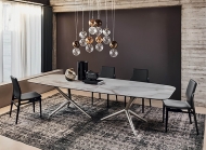  Ginevra.  Cattelan, .          .  