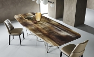  Gordon.  Cattelan, .        ,   .  