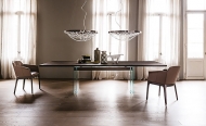  Ikon.  Cattelan, .           .  
