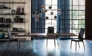  Ikon.  Cattelan, .           .  
