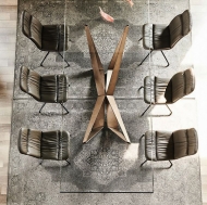  Kelly.  Cattelan, .          .  