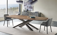  Lancer.  Cattelan, .    .      - 