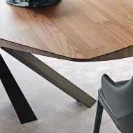  Lancer.  Cattelan, .    .      - 