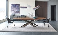  Lancer.  Cattelan, .    .      - 