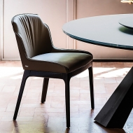  Musa.  Cattelan, .    .      - 