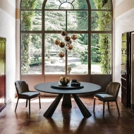  Musa.  Cattelan, .    .      - 