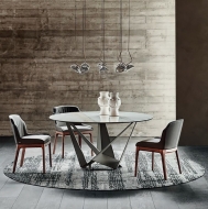  Musa.  Cattelan, .    .      - 