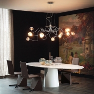  Oktopus.  Cattelan, .   .     - ,  