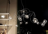  Oktopus.  Cattelan, .   .     - ,  