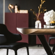  Planer.  Cattelan, .    .      - 