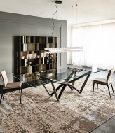  Radja.  Cattelan, .   .   , ,   